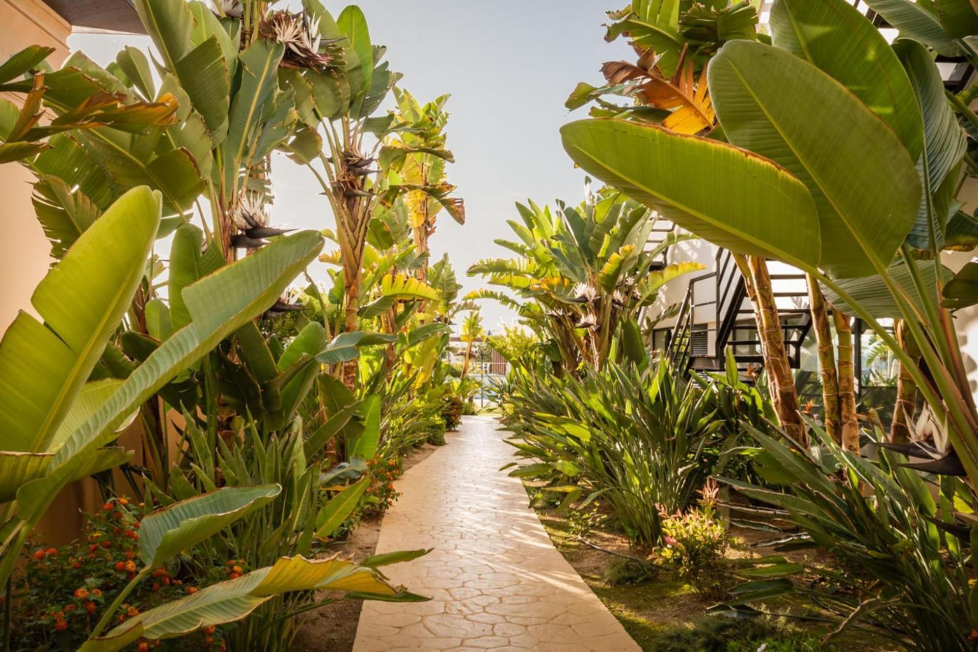 Alegria Palacio Mojacar - Adults Only エクステリア 写真